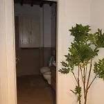 Podere La Saliciaia *